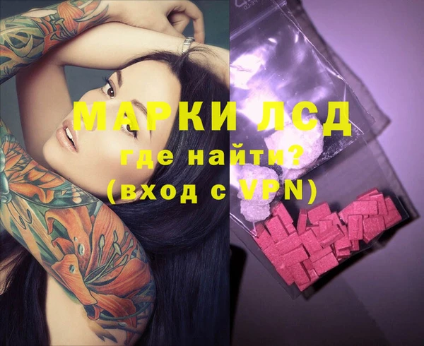 стаф Новозыбков