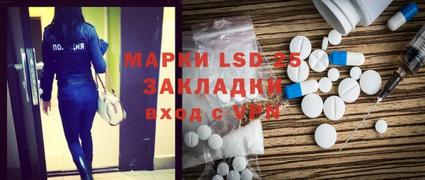 PSILOCYBIN Новодвинск