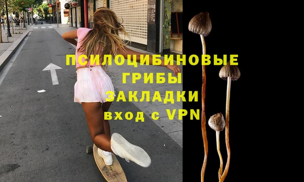 стаф Новозыбков