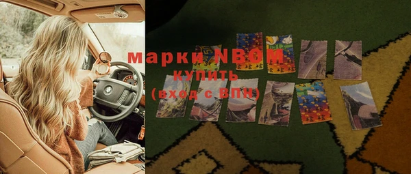 стаф Новозыбков