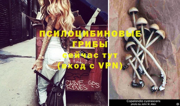 герыч Нязепетровск