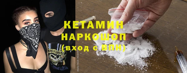 стаф Новозыбков