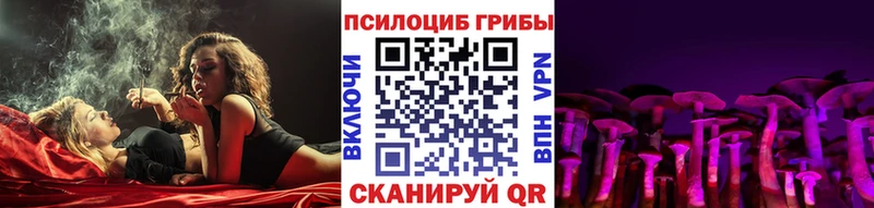 Псилоцибиновые грибы Psilocybine cubensis Иноземцево