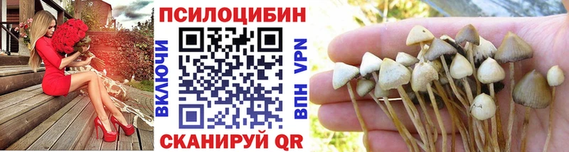 Псилоцибиновые грибы Cubensis  где найти наркотики  Иноземцево 
