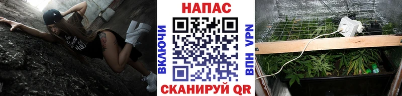 Шишки марихуана индика  купить наркотики цена  Иноземцево 